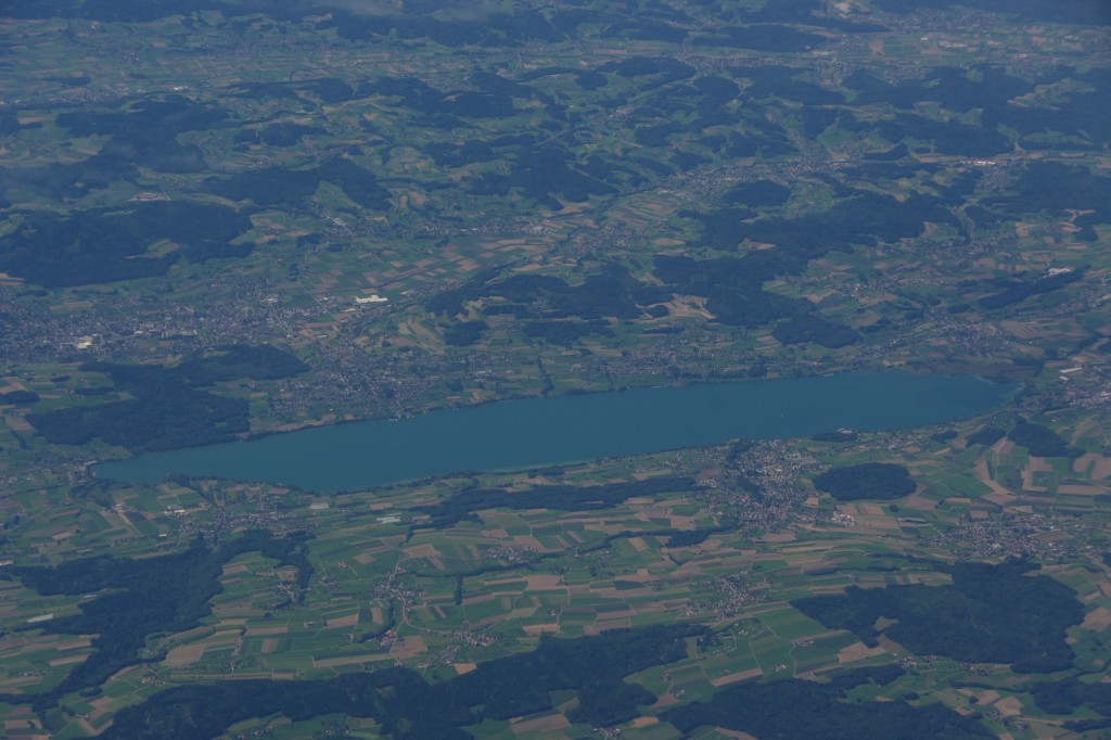 IMGP3589 Un lac bien encombré...