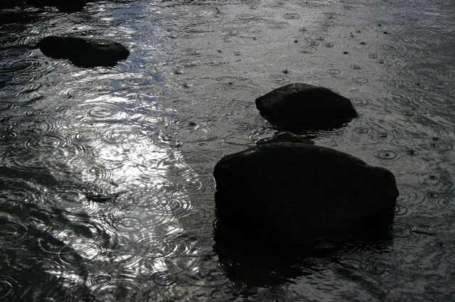     Une multitude de gouttes d'eau...