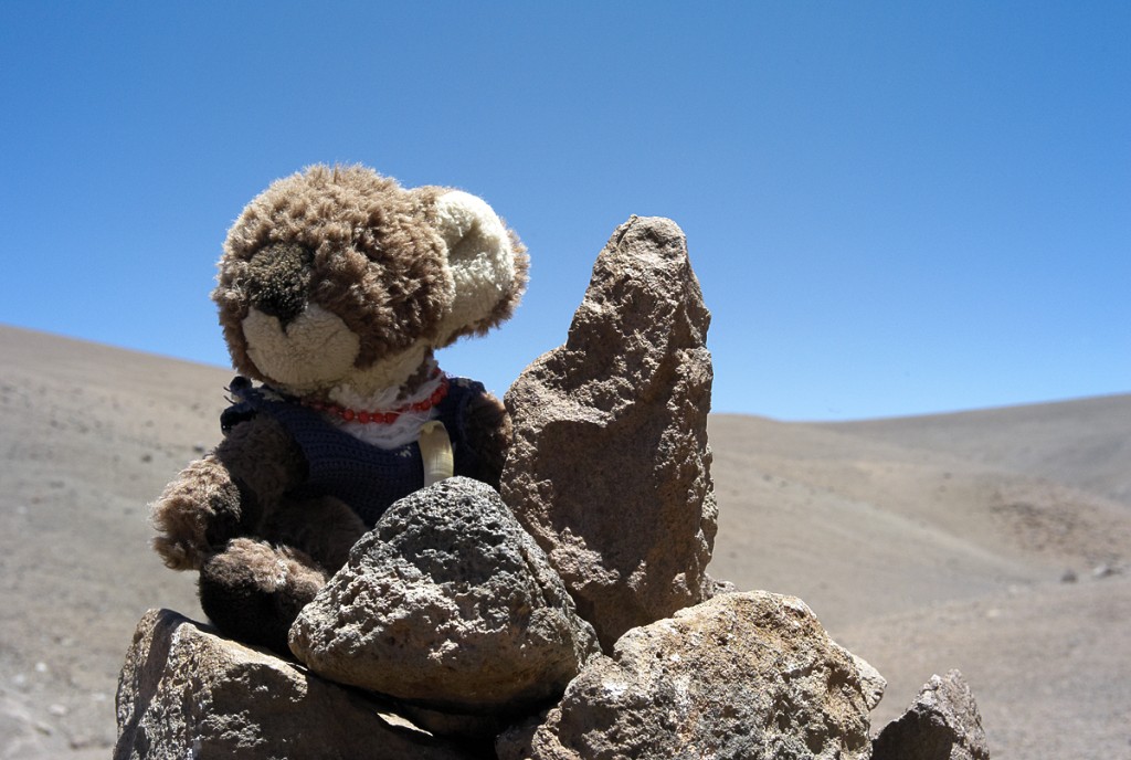 record d'altitude pour une mascotte... Argentina Cerro Pissis