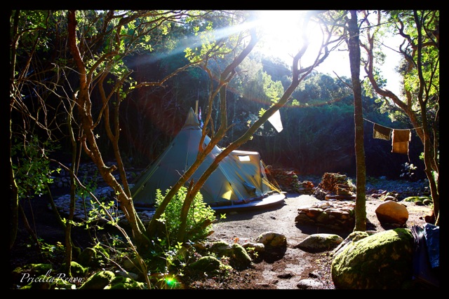 Ici la connexion n'est qu'avec la nature et le silence.