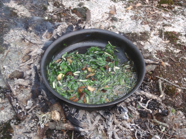 Un cépe rescapé, accompagné de quelques herbes, un bouillon de luxe.