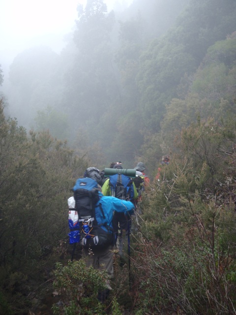 Marche silencieuse dans la brume et la pluie fine... Marche et rêve...