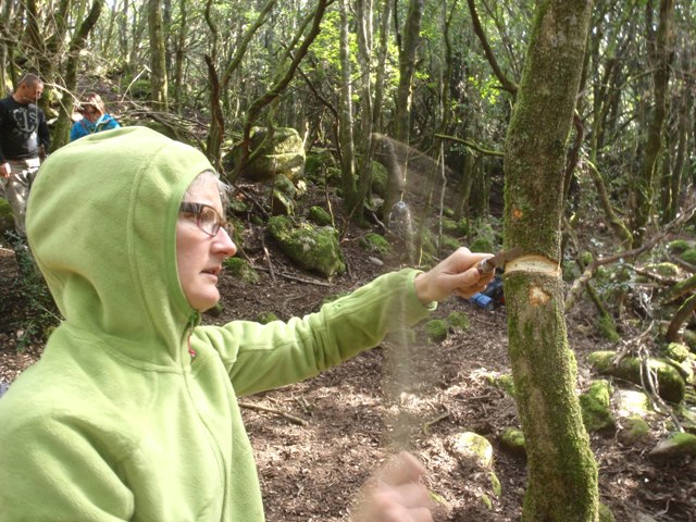 Sandrine, se préte au jeu du "robinson" des forêts.