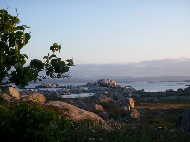 Au petit matin je contemple ce paysage apaisant, La Galiote à la droite du décor abrite mes stagiares, c'est simple le bonheur...