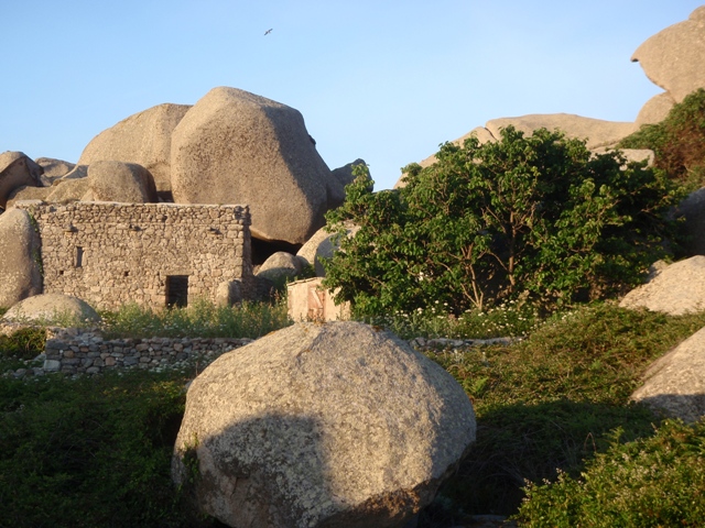 Le coin historique des Lavezzi, un murier tri centenaire, le reste de la chapelle Santa Maria du 12 éme siécle qui cache un abri du mégalitique et enfin le puit centrale que j'ai restauré il y a presque 20 ans...