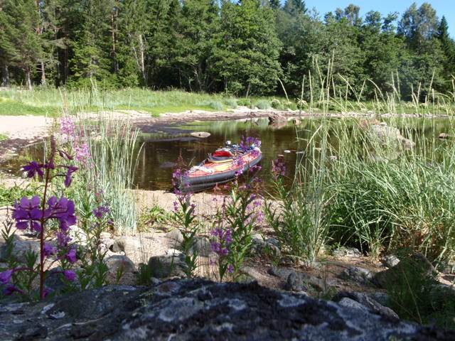 Immaqa se repose au milieu des fleurs...