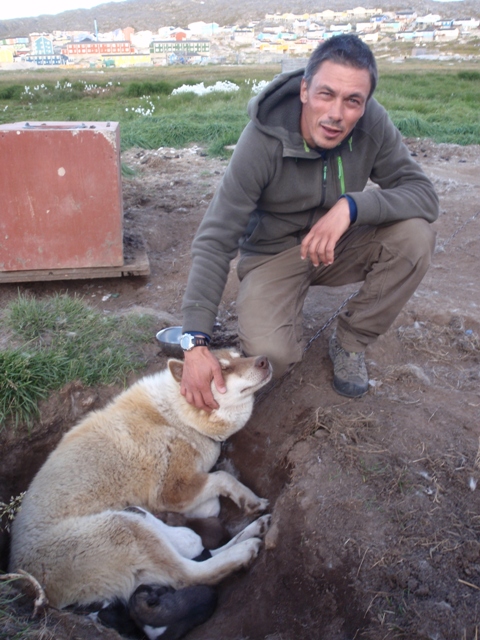 Julien, qui l'hiver chasse en traineau avec une meute de plus de 25 chiens