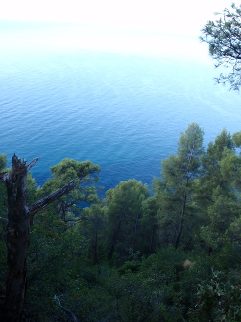 Vue d'en haut c'est encore plus beau, mais il faut le suer...