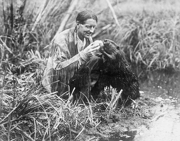 beaver and grey owl