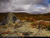 Granger_valley_4087